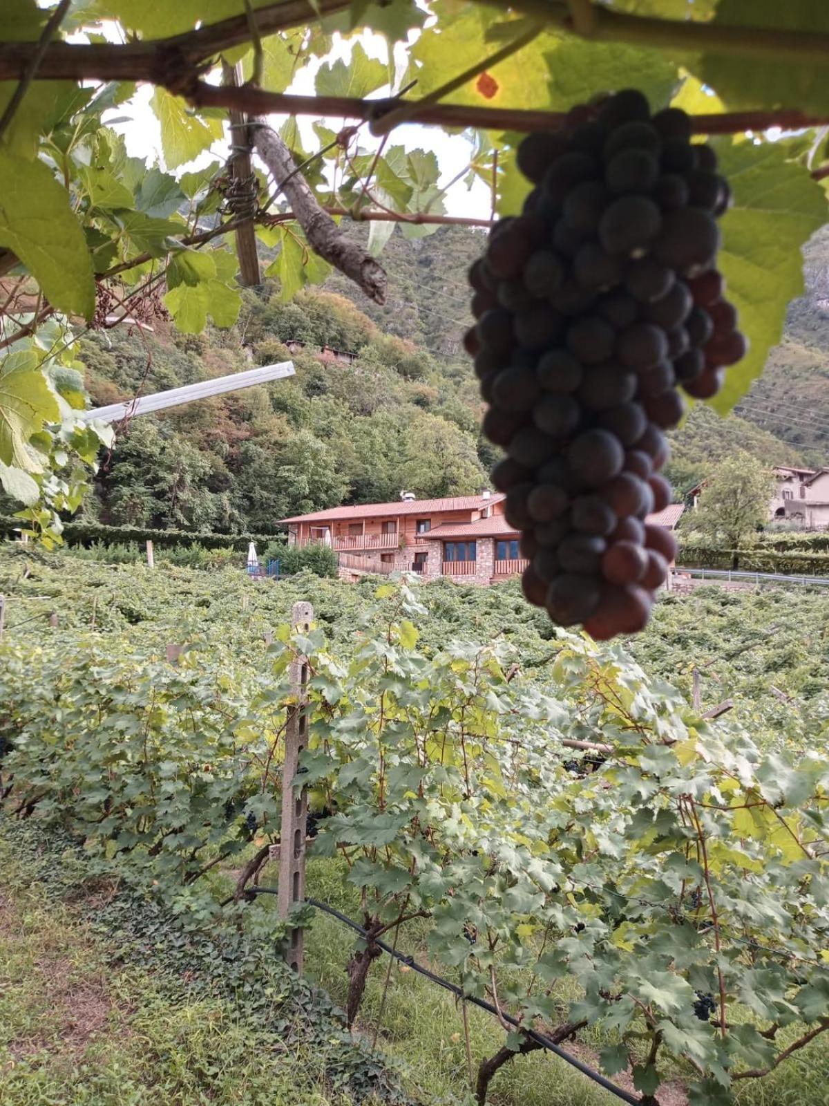 La Caigola Villa Ala Buitenkant foto